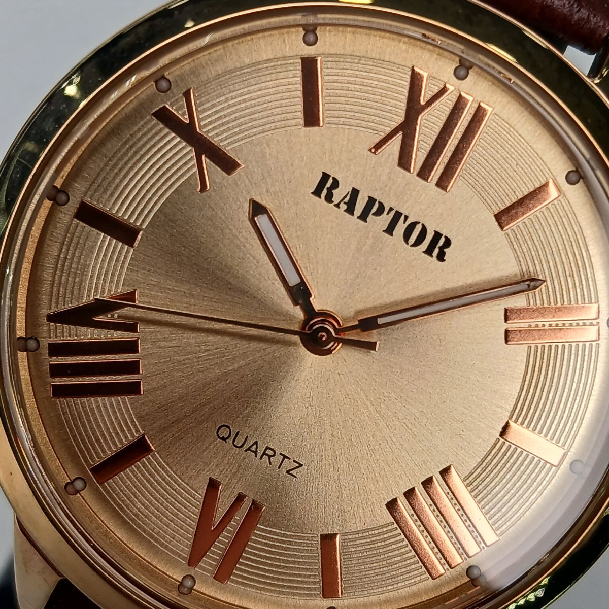 RAPTOR SAT 100000-8 - Image 6